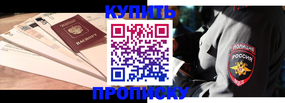 прописка поиск в Невеле